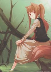Rule 34 | 00s, 1girl, alternate hairstyle, animal ears, ayakura juu, barefoot, brown hair, holo, long hair, ponytail, sitting, soaking feet, solo, spice and wolf, tail, wolf ears, wolf tail