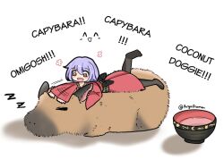 Rule 34 | 1girl, afterimage, black pantyhose, bowl, capybara, capybara coconut doggy (meme), commentary, diamon arga, english commentary, english text, full body, happy, hat, unworn hat, unworn headwear, japanese clothes, kimono, long sleeves, looking at animal, lying, lying on animal, meme, mini person, minigirl, no shoes, on animal, on stomach, open mouth, pantyhose, petting, purple hair, red eyes, red kimono, simple background, sleeping, smile, solo, sukuna shinmyoumaru, touhou, twitter username, white background, wide sleeves, zzz