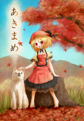 Rule 34 | 1girl, aki minoriko, arinu, autumn, barefoot, blonde hair, cover, cover page, dog, hat, highres, leaf, maple leaf, red eyes, touhou