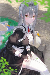 Rule 34 | 1girl, bird, blush, breasts, duck, frilled hairband, frills, hairband, hand on own leg, hand on own thigh, highres, kfr, kneehighs, large breasts, long hair, looking at viewer, maid, maid headdress, open mouth, original, silver hair, sitting, socks, solo, thighhighs, white hairband, white socks, white thighhighs, yellow eyes