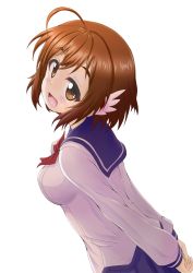 Rule 34 | 1girl, :d, absurdres, ahoge, arms behind back, bad id, bad twitter id, bakuon!!, blue skirt, blush, brown eyes, brown hair, commentary, daxz240r, from side, head tilt, highres, leaning forward, light blush, long sleeves, looking at viewer, neckerchief, open mouth, red neckerchief, sakura hane, school uniform, serafuku, short hair, simple background, skirt, smile, solo, standing, upper body, white background