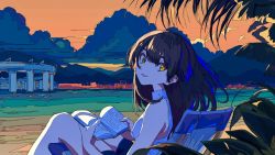 Rule 34 | 1girl, beach, black hair, book, chair, city, cloud, cloudy sky, cogecha, from behind, hair between eyes, head tilt, highres, holding, holding book, horizon, knees up, leaf, long hair, looking at viewer, looking back, mountain, orange sky, original, outdoors, parted lips, plant, road, shirt, shorts, sitting, sky, sleeveless, smile, solo, twilight, yellow eyes