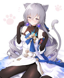 Rule 34 | 1girl, absurdres, animal ears, black gloves, black pantyhose, blush, bronya rand, cat ears, cat girl, cat tail, closed mouth, detached sleeves, earrings, elbow gloves, gloves, grey eyes, grey hair, highres, honkai: star rail, honkai (series), jewelry, kemonomimi mode, kutar22, long hair, pantyhose, paw pose, simple background, solo, tail, white background