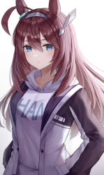 Rule 34 | 1girl, ahoge, animal ears, blue eyes, brown hair, closed mouth, clothes writing, commentary request, grey hairband, hairband, hands in pockets, hood, hood down, hoodie, horse ears, jacket, long hair, long sleeves, looking at viewer, mihono bourbon (umamusume), open clothes, open jacket, simple background, solo, umamusume, upper body, white background, white hoodie, white jacket, yoimoriyoru