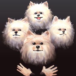 Rule 34 | absurdres, album cover redraw, animal focus, bohemian rhapsody, chanta (ayatakaoisii), crossed arms, derivative work, dog, highres, looking at viewer, no humans, parody, pomeranian (dog), queen (band)