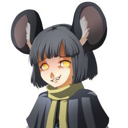Rule 34 | 1girl, absurdres, animal ear fluff, animal ears, blunt bangs, capelet, colored shadow, commentary, drop shadow, english commentary, grey capelet, highres, looking at viewer, medium bangs, mouse ears, mouse girl, nazrin, parody, persona, persona 4, shadow, short hair, simple background, smile, sneer, solo, step arts, style parody, touhou, upper body, white background, yellow eyes