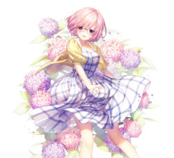 Rule 34 | 1girl, artist name, checkered clothes, checkered dress, dress, fate/grand order, fate (series), floral background, flower, glasses, hydrangea, jacket, looking at viewer, mash kyrielight, mash kyrielight (senpai killer outfit), md5 mismatch, official alternate costume, open mouth, plaid, plaid dress, purple eyes, purple hair, resolution mismatch, rosuuri, short hair, smile, solo, standing, yellow jacket