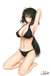 Rule 34 | 1girl, bikini, black bikini, black hair, highres, infinite stratos, orimura chifuyu, oslight, swimsuit