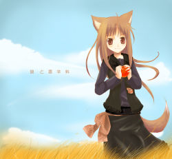Rule 34 | 00s, 1girl, animal ears, apple, food, fruit, holding, holding food, holding fruit, holo, kayune niu, solo, spice and wolf, tail, wolf ears, wolf tail