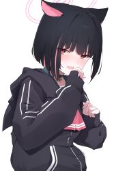 Rule 34 | 1girl, absurdres, animal ears, black hair, black jacket, blue archive, blush, cat ears, commentary request, exiadoon, halo, highres, jacket, kazusa (blue archive), long sleeves, looking at viewer, multicolored hair, open mouth, pink hair, red eyes, short hair, simple background, sleeves past wrists, solo, two-tone hair, white background, white halo