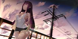 Rule 34 | 1girl, :o, alternate costume, arm behind back, backlighting, bare arms, bare shoulders, black panties, black shorts, blush, breasts, casual, cleavage, cloud, cloudy sky, collarbone, cowboy shot, day, fate (series), fence, from below, gym shorts, highres, holding hands, large breasts, lens flare, long hair, looking away, looking up, outdoors, panties, parted lips, purple eyes, purple hair, scathach (fate), short shorts, shorts, side-tie panties, sky, sleeveless, solo, tank top, underwear, utility pole, very long hair, waterswing