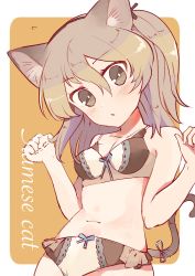 Rule 34 | 1girl, :o, absurdres, animal ears, black ribbon, blue ribbon, bow, bow bra, bra, breasts, brown background, brown bra, brown eyes, brown panties, cat ears, cat tail, clenched hands, cursive, english text, flying sweatdrops, frilled panties, frills, girls und panzer, hair ribbon, head tilt, highres, light brown hair, lingerie, long hair, looking at viewer, miluke, navel, outside border, panties, parted lips, ribbon, rounded corners, shimada arisu, side ponytail, small breasts, solo, standing, tail, tail ornament, tail ribbon, underwear, underwear only, w arms
