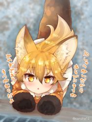 Rule 34 | 1girl, animal ear fluff, animal ears, black gloves, blonde hair, blush, coroha, ezo red fox (kemono friends), fox ears, fox tail, from above, fur trim, gloves, jacket, kemono friends, long hair, long sleeves, looking at viewer, open mouth, orange eyes, orange jacket, photo-referenced, pleated skirt, skirt, solo, tail, twitter username, white skirt