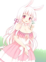 Rule 34 | 1girl, :d, animal ears, bare shoulders, blush, bow, breasts, choker, cleavage, collarbone, commentary request, dress, flower, hair ribbon, hand up, highres, holding, holding flower, large breasts, long hair, looking at viewer, off-shoulder dress, off shoulder, open mouth, original, pink flower, rabbit ears, red ribbon, ribbon, sakurato ototo shizuku, short sleeves, simple background, smile, solo, very long hair, white background, white bow, white choker, white dress, white hair