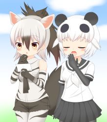 Rule 34 | 2girls, :o, aardwolf (kemono friends), animal ears, bare shoulders, black gloves, black hair, black legwear, black sailor collar, black shorts, black skirt, blouse, blush, breasts, closed eyes, collared shirt, commentary request, day, drooling, elbow gloves, giant panda (kemono friends), gloves, gradient hair, hair between eyes, hands up, highres, holding, kemono friends, kemono friends 2, multicolored hair, multiple girls, neckerchief, open mouth, outdoors, panda ears, pantyhose, pantyhose under shorts, parted lips, pleated skirt, ponytail, sailor collar, saliva, school uniform, serafuku, shin01571, shirt, short hair, short shorts, short sleeves, shorts, skirt, sleeveless, sleeveless shirt, small breasts, striped clothes, striped gloves, tail, tears, white gloves, white hair, white legwear, white neckerchief, white shirt, wolf ears, wolf girl, wolf tail
