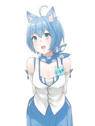 Rule 34 | 1girl, ahoge, animal ear fluff, animal ear piercing, animal ears, arms behind back, blue dress, blue eyes, blue hair, blue scarf, blush, breasts, buttons, cleavage, commentary request, cowboy shot, detached sleeves, dog ears, dog girl, dress, earrings, highres, jewelry, looking afar, lovermoonlight, medium bangs, medium breasts, name tag, nanashi inc., open mouth, polka dot, polka dot scarf, scarf, short hair, simple background, single earring, sleeveless, sleeveless dress, solo, souya ichika, souya ichika (1st costume), teeth, upper teeth only, vest, virtual youtuber, white background, white sleeves, white vest