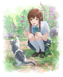 Rule 34 | bow, bowtie, brown footwear, brown hair, cat, commentary request, flower, grass, green bow, green bowtie, gurafuru, highres, kneehighs, loafers, long hair, open mouth, original, outdoors, panties, pantyshot, rock, school uniform, shirt, shoes, short sleeves, skirt, smile, socks, squatting, striped bow, striped bowtie, striped clothes, underwear, white panties, white shirt, white socks