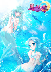 Rule 34 | 2girls, aqua eyes, aqua hair, blue eyes, blue hair, blush, breasts, bubble, censored, completely nude, convenient censoring, fish, hair censor, hands on own chest, higuchi norie, jewelry, long hair, mermaid, monster girl, multiple girls, nude, own hands clasped, own hands together, smile, underwater