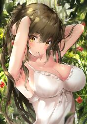 Rule 34 | 1girl, adjusting hair, ahoge, armpits, arms behind head, arms up, bare shoulders, blurry, breasts, brown hair, cleavage, collarbone, dappled sunlight, flower, frilled shirt, frills, grass, hair between eyes, hair over shoulder, hair tie in mouth, highres, large breasts, light blush, long hair, looking at viewer, messy hair, mouth hold, nature, original, outdoors, red flower, shirt, sleeveless, sleeveless shirt, spaghetti strap, sunlight, tree, tying hair, upper body, white shirt, yellow eyes, yutoriko (candy0905)