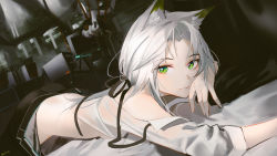 Rule 34 | 1girl, animal ears, arknights, bare shoulders, black pants, black ribbon, blouse, breasts, cat ears, chinese commentary, closed mouth, commentary request, computer, green eyes, hair ribbon, head on hand, highres, kal&#039;tsit (arknights), light, light particles, long hair, looking at viewer, lying, machinery, mackia, monitor, official alternate hairstyle, on bed, on stomach, open pants, pants, parted bangs, ponytail, ribbon, see-through, see-through shirt, shadow, shirt, sideboob, small breasts, solo, white hair, white shirt