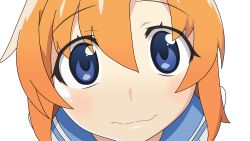 Rule 34 | absurdres, blue eyes, brown hair, close-up, highres, higurashi no naku koro ni, looking at viewer, orange hair, ryuuguu rena, school uniform, transparent background, vector trace