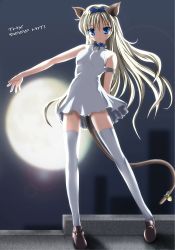 Rule 34 | animal ears, arm behind back, armband, bell, blonde hair, blue eyes, blue ribbon, cat ears, cat tail, collar, dress, moon, ribbon, tail, thighhighs, white dress