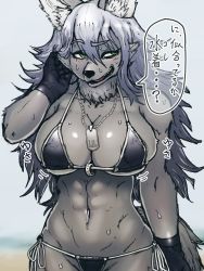 Rule 34 | artist request, dog, furry, green eyes, highres, long hair, open mouth, swimsuit, white hair