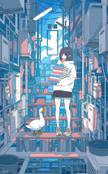 Rule 34 | 1girl, bare legs, bird, black hair, black skirt, blue eyes, book, book stack, bookshelf, bucket, cable, duck, highres, holding, holding book, industrial pipe, ladder, long sleeves, looking at viewer, medium hair, miniskirt, original, pleated skirt, pole, scenery, seraphitalg, shoes, signature, skirt, sky, sneakers, solo, stairs, standing, surreal, sweater, white sweater, wide shot