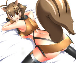Rule 34 | 1girl, animal ears, arc system works, ass, bare shoulders, blazblue, blazblue: continuum shift, blush, breasts, brown eyes, brown hair, gloves, looking back, makoto nanaya, ment, miniskirt, orange skirt, revealing clothes, short hair, skirt, solo, squirrel ears, squirrel tail, tail, thighhighs, underboob