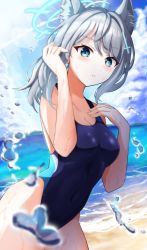 Rule 34 | 1girl, animal ear fluff, animal ears, beach, black one-piece swimsuit, blue archive, blue eyes, blue sky, breasts, cloud, competition swimsuit, covered navel, cowboy shot, cross hair ornament, day, extra ears, grey hair, hair ornament, halo, highres, horizon, low ponytail, medium breasts, medium hair, mismatched pupils, multicolored clothes, multicolored swimsuit, ocean, one-piece swimsuit, outdoors, shiroko (blue archive), shiroko (swimsuit) (blue archive), sky, solo, swimsuit, uchikata takeaki, water drop