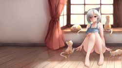 Rule 34 | 10s, 1girl, animal, animal ears, barefoot, blue eyes, breasts, cat, cat ears, cat lingerie, curtains, eyes visible through hair, fake animal ears, feet, glowing, hair ornament, hair over one eye, hairclip, hamakaze (kancolle), headband, highres, indoors, kantai collection, large breasts, light, meme attire, nicoby, reflection, short hair, silver hair, sitting, solo, toes, window, wooden floor