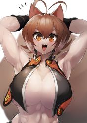 Rule 34 | 1girl, abs, animal ears, armpits, blazblue, breasts, brown hair, gloves, large breasts, looking at viewer, makoto nanaya, muscular, muscular female, open clothes, open mouth, smile, sowel (sk3), squirrel ears, squirrel tail, tail, white hair
