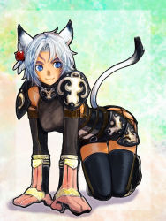 Rule 34 | 00s, 1girl, all fours, animal ears, armor, bad id, bad pixiv id, cat ears, cat girl, cat tail, doraeshi, final fantasy, final fantasy xi, highres, mithra (ff11), mittens, solo, tail, thighhighs, white hair