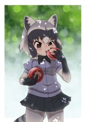 Rule 34 | 1girl, animal ears, black bow, black bowtie, black gloves, black hair, black skirt, blue sweater, blush, bow, bowtie, brown eyes, commentary request, common raccoon (kemono friends), eating, elbow gloves, food, fur collar, gloves, grey hair, hoshino mitsuki, japari bun, japari symbol, kemono friends, kemono friends 3, multicolored hair, pantyhose, pleated skirt, puffy short sleeves, puffy sleeves, raccoon ears, raccoon girl, raccoon tail, short hair, short sleeves, sidelocks, skirt, solo, sweater, tail, two-tone gloves, white fur, white gloves, white hair, white pantyhose