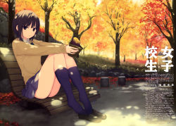Rule 34 | 1girl, absurdres, aoyama sumika, artist name, autumn leaves, bench, black hair, branch, brown eyes, closed mouth, coffee-kizoku, day, food, full body, highres, holding, holding food, loafers, long sleeves, looking at viewer, original, park, park bench, pleated skirt, scan, shadow, shoes, short hair, simple background, sitting, skirt, socks, solo, sweet potato, tree