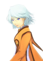 Rule 34 | 00s, blue eyes, breasts, raine sage, silver hair, simple background, tales of (series), tales of symphonia