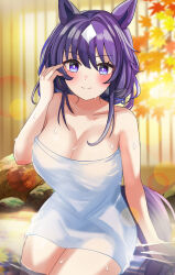 1girl alternate_costume bare_shoulders blue_hair blush breasts closed_mouth collarbone commentary_request dark_blue_hair hair_between_eyes hanamura_pink highres horse_girl horse_tail large_breasts long_hair looking_at_viewer multicolored_hair naked_towel onsen partially_submerged purple_eyes smile solo streaked_hair sweat tail towel umamusume verxina_(umamusume) wet white_hair