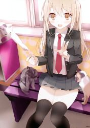 Rule 34 | 1girl, :d, absurdres, animal, bench, black thighhighs, blazer, blonde hair, blush, cat, highres, jacket, long hair, looking at viewer, necktie, oouso, open clothes, open jacket, open mouth, orange eyes, original, pleated skirt, scan, school uniform, sitting, skirt, smile, thighhighs, v