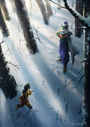 Rule 34 | 2boys, artist name, black hair, blue footwear, boots, cape, colored skin, crossed arms, dated, dougi, dragon ball, dragonball z, footprints, from above, green skin, hat, long hair, multiple boys, piccolo, pointy ears, shoulder pads, signature, snow, son gohan, sun stark, sunlight, sword, tree, weapon, wristband