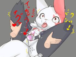 Rule 34 | 1girl, animal ears, aoimua, black thighhighs, body writing, constricted pupils, creatures (company), crying, dildo, disembodied limb, egg vibrator, fangs, female ejaculation, female focus, female orgasm, furry, furry female, game freak, gen 3 pokemon, grey background, heart, highres, holding legs, legs up, lying, male hand, nintendo, no humans, nude, object insertion, on back, open mouth, orgasm, pokemon, pokemon (creature), pokemon rse, pussy, pussy juice, red eyes, saliva, sex toy, simple background, solo, spoken heart, spread legs, tail, tape, tears, teeth, text focus, thighhighs, tongue, tongue out, translation request, trembling, uncensored, vaginal, vaginal object insertion, vibrator, zangoose
