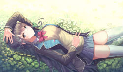 Rule 34 | 1girl, absurdres, arm up, black hair, blazer, blue eyes, blue skirt, blush, bow, braid, clover, day, four-leaf clover, hair ornament, hairclip, highres, jacket, long hair, looking at viewer, mouth hold, nijisanji, outdoors, school uniform, skirt, smile, solo, thighhighs, tmtl aos, tsukino mito, tsukino mito (1st costume), virtual youtuber, white thighhighs