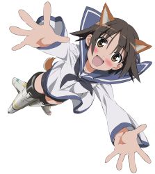 Rule 34 | 1girl, absurdres, animal ears, brown hair, extraction, highres, miyafuji yoshika, strike witches, tagme, transparent background, vector trace, world witches series