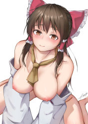 Rule 34 | 1girl, absurdres, ascot, bad ass, blush, bottomless, bow, breasts, brown eyes, brown hair, closed mouth, commentary, detached sleeves, error1945, foot out of frame, frilled bow, frills, from above, hair bow, hair tubes, hakurei reimu, half updo, highres, long hair, looking at viewer, medium breasts, michiking (style), nipples, no shirt, red bow, sidelocks, signature, simple background, sitting, smile, solo, touhou, wariza, white background, yellow ascot