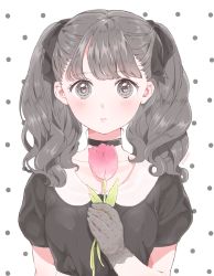 Rule 34 | 1girl, artist name, bad id, bad pixiv id, black eyes, black gloves, black hair, black ribbon, blush, choker, flower, gloves, hair ribbon, hand on own chest, heart, heart-shaped pupils, holding, holding flower, jewelry, lace, lace gloves, long hair, looking at viewer, original, polka dot, polka dot background, ribbon, ring, see-through, shizuko (chipccchip), short sleeves, solo, symbol-shaped pupils, tulip, twintails, upper body, white background