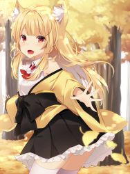 Rule 34 | 1girl, :d, animal ear fluff, animal ears, bare shoulders, black skirt, blonde hair, blurry, blurry foreground, blush, breasts, cat ears, collared shirt, commentary request, day, depth of field, ginkgo tree, ginkgo leaf, highres, jacket, komomo (ptkrx), leaf, leaning forward, long hair, long sleeves, looking at viewer, looking to the side, obi, off shoulder, open mouth, original, outdoors, pleated skirt, red eyes, red neckwear, sash, shirt, skirt, sleeveless, sleeveless shirt, sleeves past wrists, small breasts, smile, solo, standing, thighhighs, tree, very long hair, white shirt, white thighhighs, wide sleeves, yellow jacket