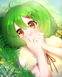 Rule 34 | 1girl, absurdres, bad id, bad pixiv id, blush, covered mouth, dress, flower, food-themed hair ornament, grass, green hair, hair ornament, hairclip, hands over own mouth, highres, looking at viewer, macross, macross frontier, ranka lee, rita (love giorno), short hair, solo, strawberry hair ornament, sunlight, wide-eyed, yellow dress, yellow flower