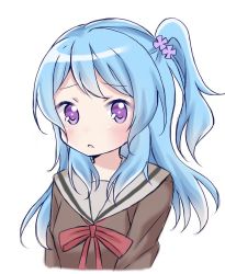 Rule 34 | 10s, 1girl, bang dream!, blue hair, blush, bow, brown shirt, commentary, flower, grey sailor collar, hair flower, hair ornament, long hair, looking at viewer, matsubara kanon, one side up, parted lips, purple eyes, purple flower, red bow, sailor collar, school uniform, serafuku, shika (s1ka), shirt, side ponytail, sidelocks, simple background, solo, symbol-only commentary, upper body, white background
