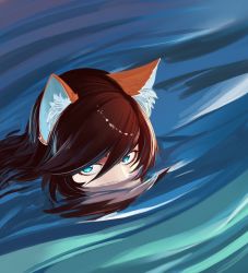 Rule 34 | 1girl, animal ears, blue eyes, brown hair, floating hair, fox ears, fox girl, fox tail, hair between eyes, less, looking to the side, partially submerged, peeking, reflection, solo, source request, tail, water