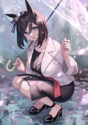 Rule 34 | 1girl, :d, absurdres, animal ears, bare legs, black dress, black footwear, black hair, black shirt, blazer, blue eyes, blurry, blurry background, breasts, casual, collarbone, commentary, dress, ear scrunchie, eishin flash (umamusume), from side, full body, hair between eyes, hands up, high heels, highres, hitomin (ksws7544), holding, holding umbrella, horse ears, jacket, long bangs, long sleeves, looking at viewer, medium breasts, medium dress, medium hair, open clothes, open jacket, open mouth, outdoors, puddle, red sash, sash, scrunchie, shirt, side slit, smile, solo, squatting, strappy heels, transparent, transparent umbrella, umamusume, umbrella, white jacket, white scrunchie