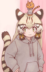 Rule 34 | 1girl, animal costume, animal ear fluff, animal ears, cat, cat ears, cat girl, cat tail, closed mouth, extra ears, geoffroy&#039;s cat (kemono friends), grey hair, highres, hood, hoodie, kemono friends, kemono friends v project, long hair, looking at viewer, multicolored hair, pink background, ribbon, rumenia (ao2is), simple background, tail, twintails, virtual youtuber